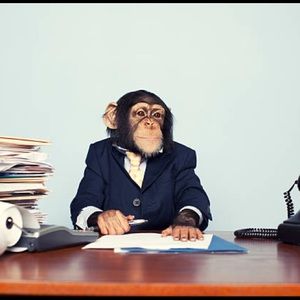 Meet your Posher, Ben